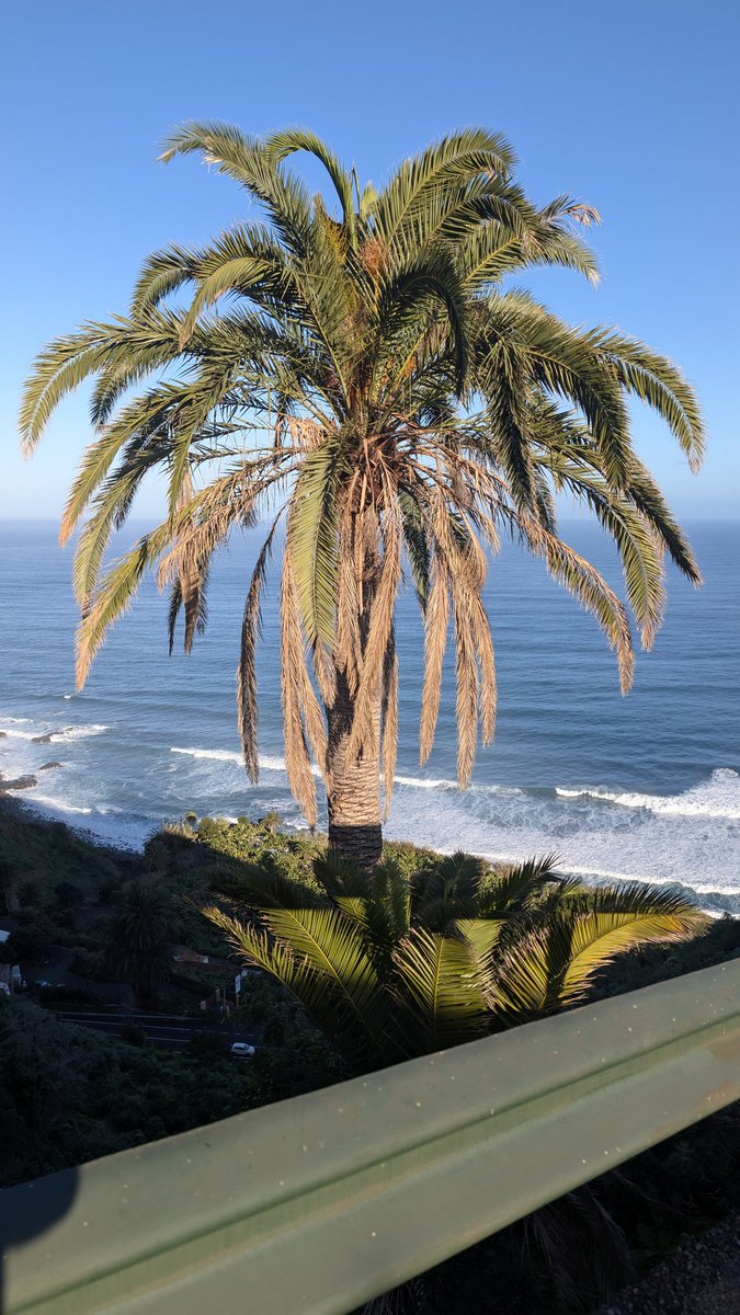 Juha M 🇫🇮 tweet media