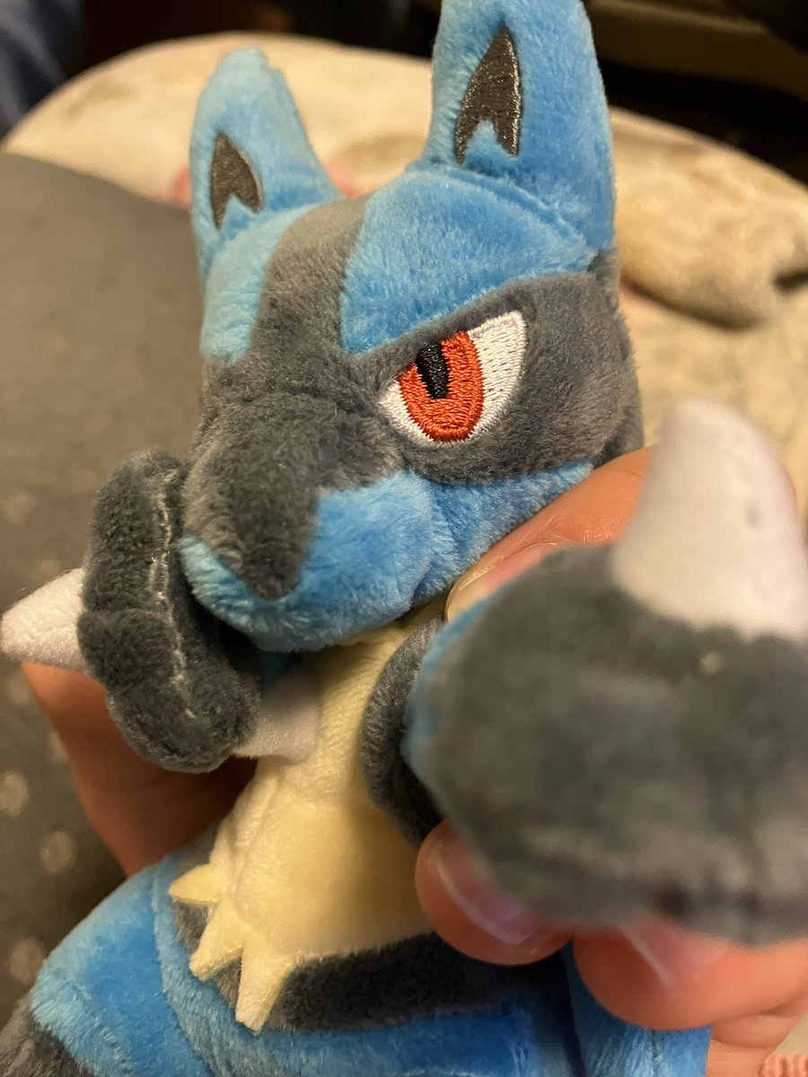 ルカリオさん買いました