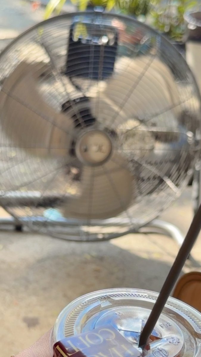 IG Story Update :  Garfinpkk 
🗓 [ 12.02.2026 ] 

☕️

<a href="/garfinpkk/">Garfield 潘塗瑞</a> 
Garfield Pantach  🐾 
#Garfinpkk #Fieldmily 🧡