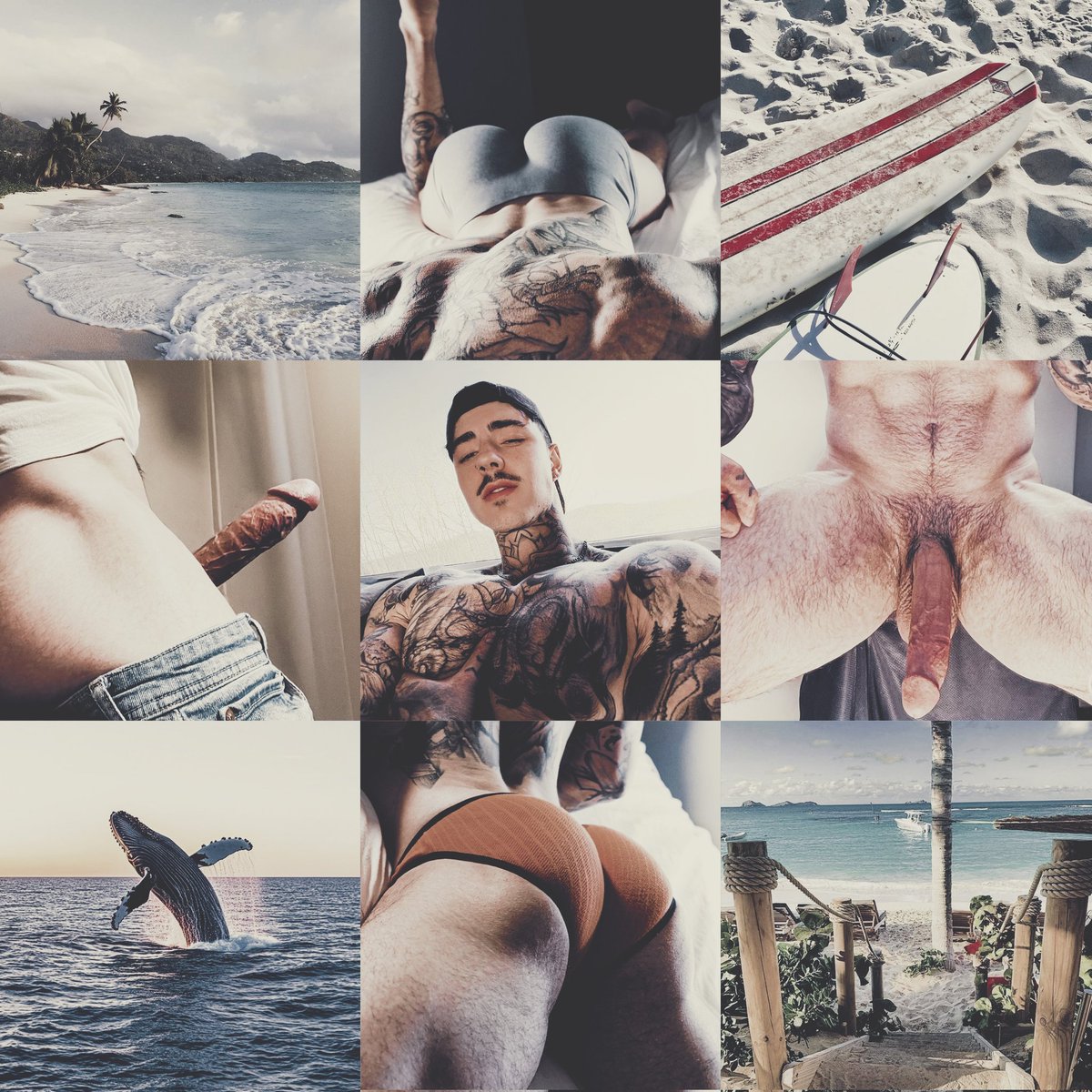 ᅠ ᅠᅠ ᅠᅠ𝐓𝗁𝖾𝗋𝗂𝗎𝗌 tweet media