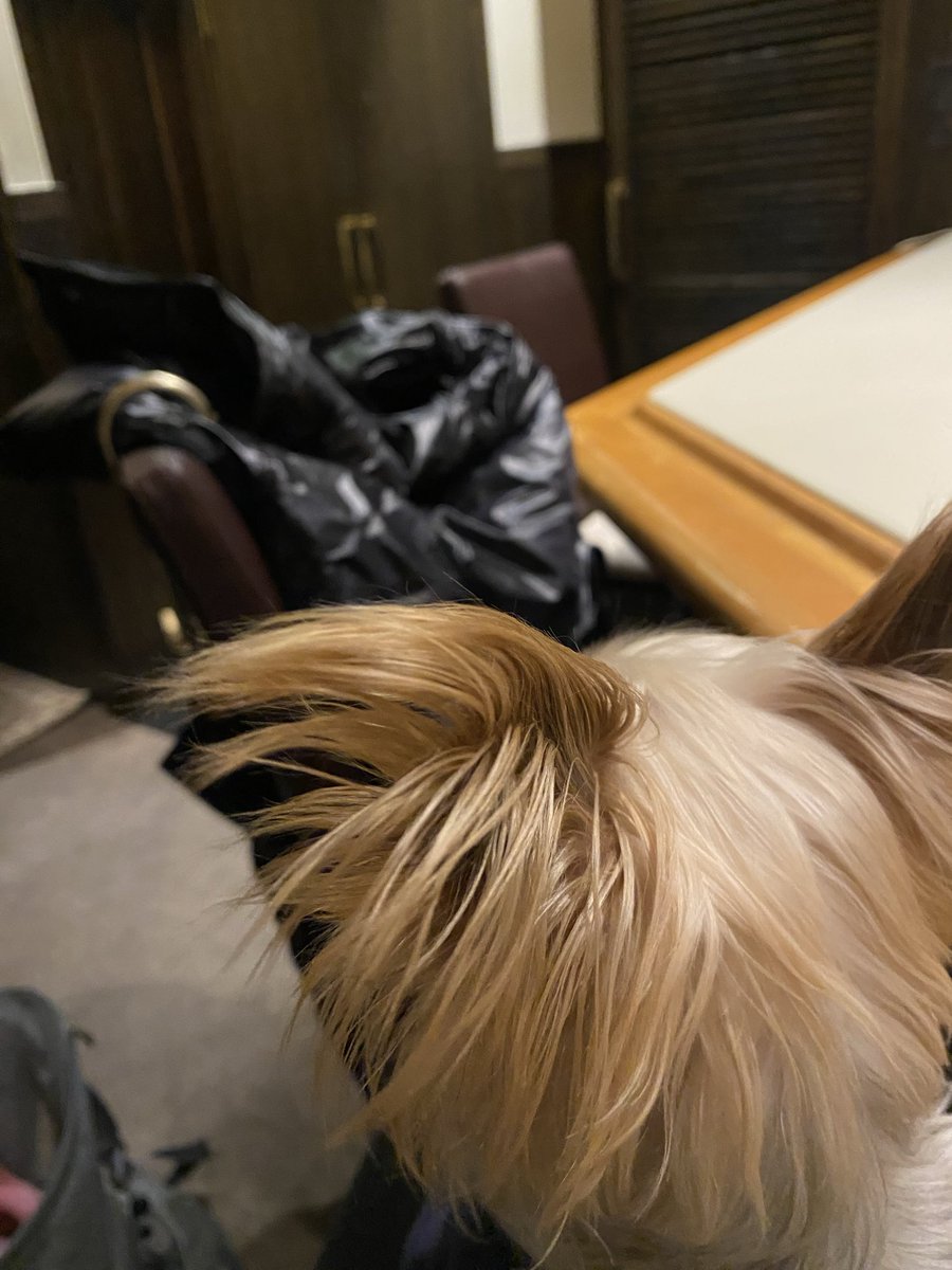 今日は、ビルの電気工事があるらしく24時からエレベーターもストップするので、23時半には閉店、退出でやんす🥺