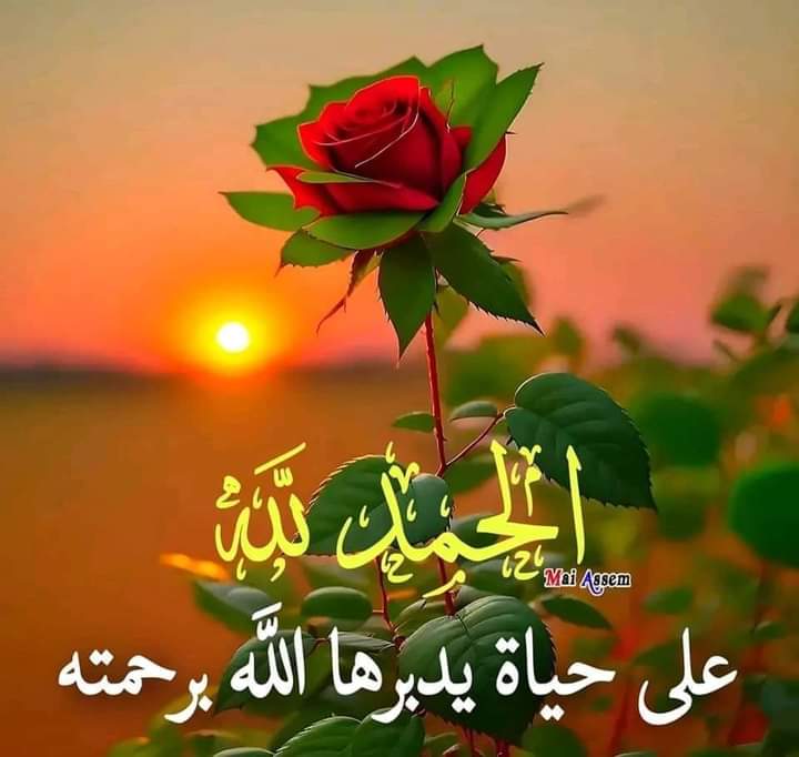 صباح الخير والصحة والعافية والسعادة ☕️🥮🍌🌻🍄💚
