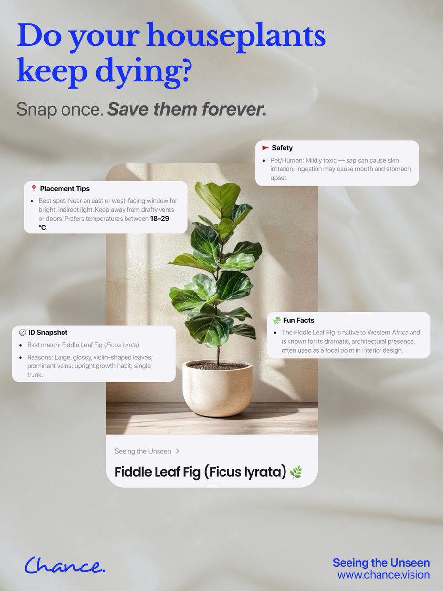 Chance_vision's tweet photo. Let Chance translate your plant’s cries for help 🪴😌
.
#AI #ChanceAl #VisualAl  #chancevisual  #AIForCreators #techculture #plants #curiosity #digitalart #generativeai #facts #visualsearch #houseplants #plantfacts https://t.co/UZk90KWW7q