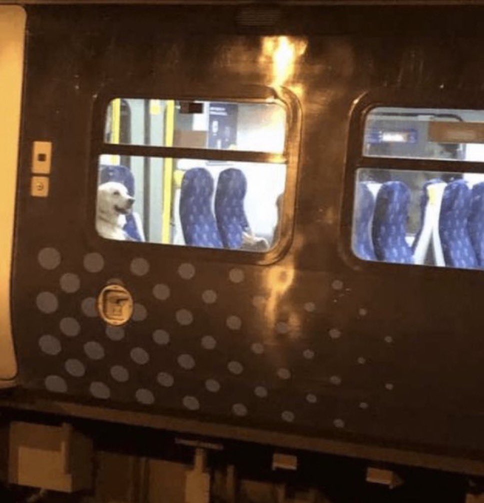 8:31 de la mañana y lo acabamos de dejar en el autobus… estoy orgulloso de que al fin consigas tu sueño de estudiar perriodismo