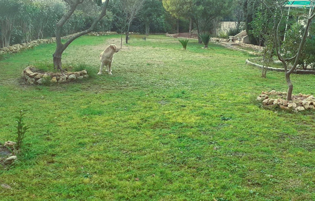 Belle de bon matin❤️🍀😘#nature