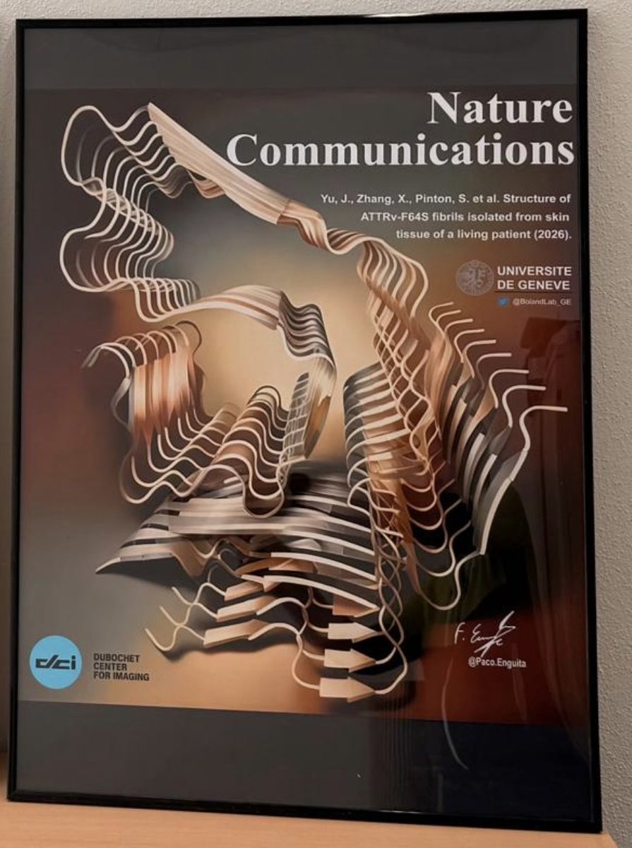 Francisco J. Enguita tweet media