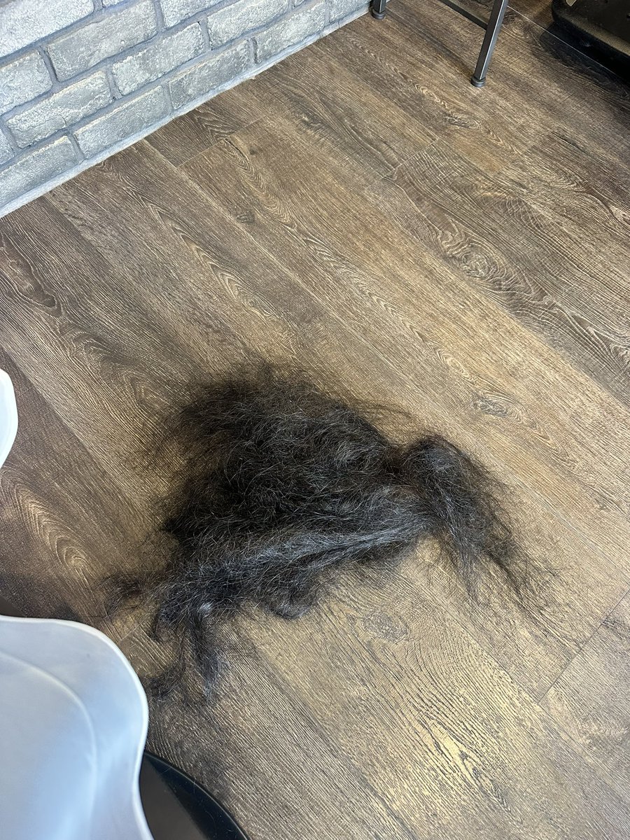 さくらい tweet media