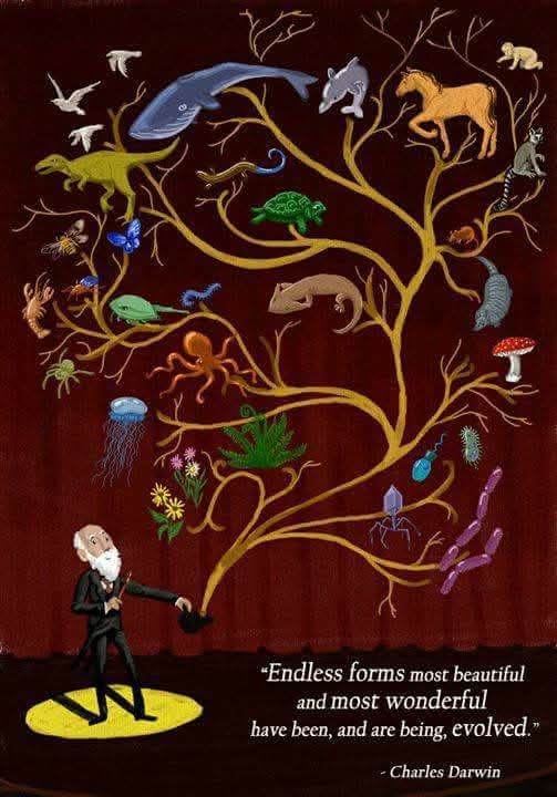 Science Meets Faith tweet media