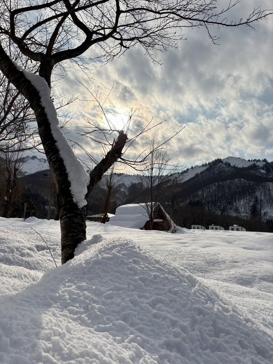 Mistress Ruiko tweet media