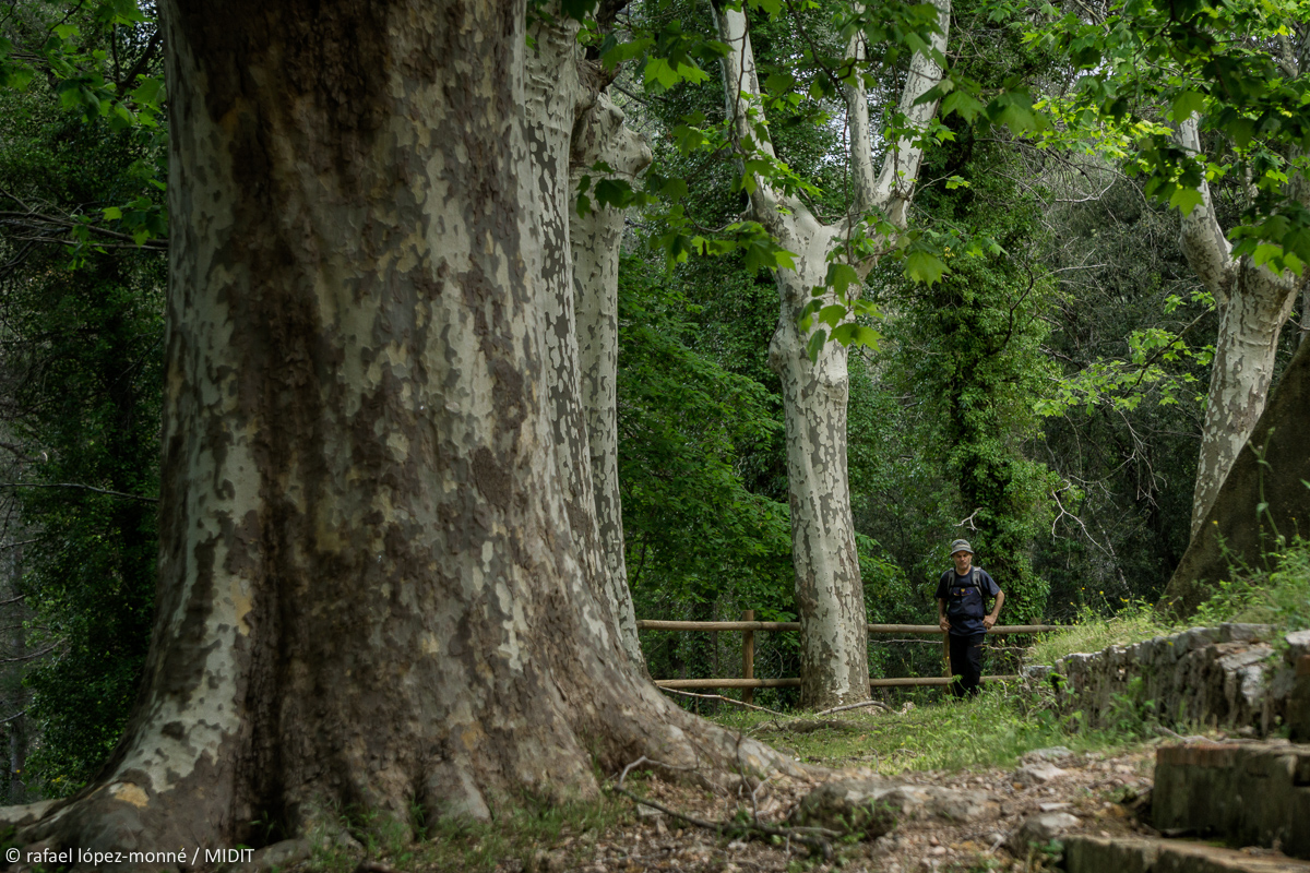 TerresdeMestral's tweet photo. Esteu preparats per gaudir d'una gran ruta de #senderisme? 😏
Benvinguts al cor verd de les #TerresDeMestral, #CamíDeMestral 💚

Foto: @lopezmonne 
#RutaCircular a les #TerresDeMestral
#4etapes
#panoràmiques imponents
#OutdoorPark de #mar i #muntanya 💙😍💚
#natura
#esport https://t.co/21yaMv960f