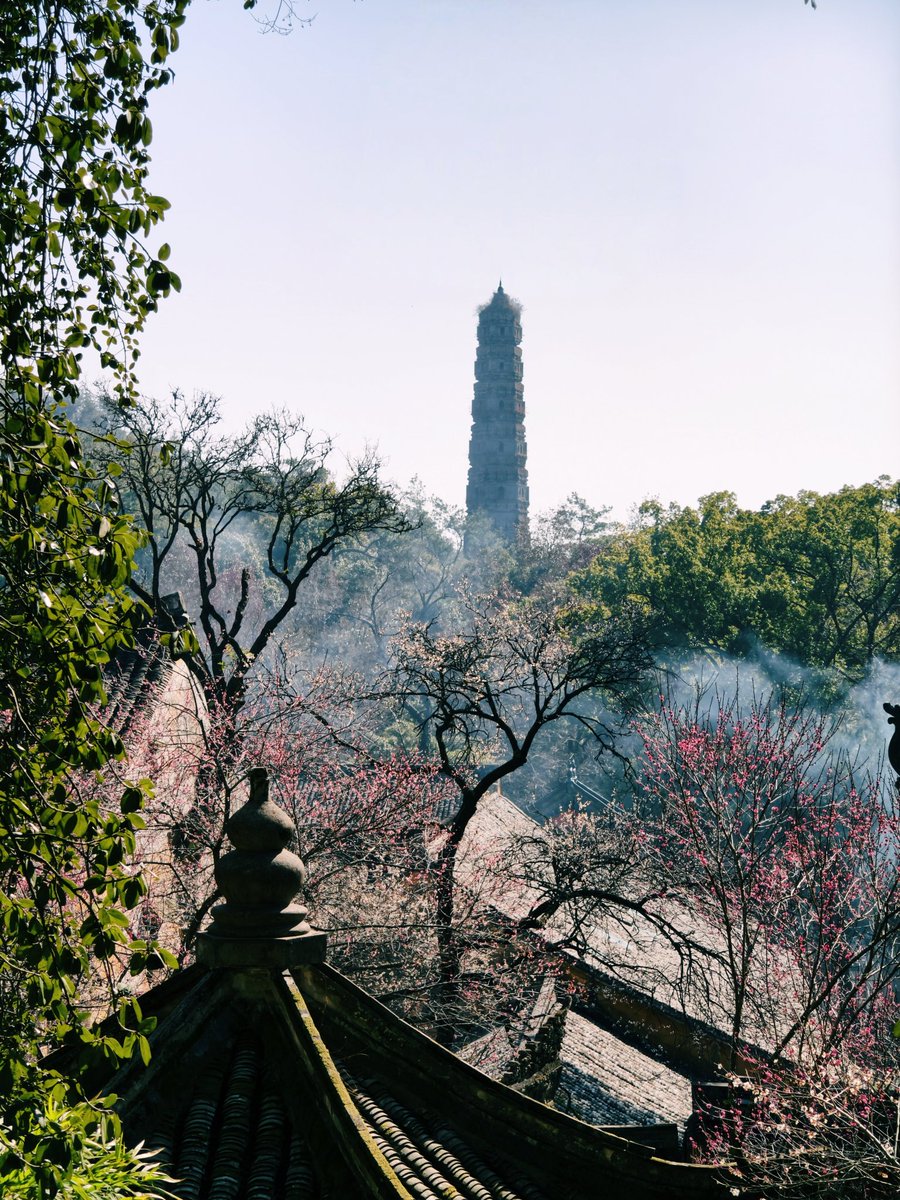 greatbear's tweet photo. 台州国清寺 https://t.co/KImS4ESAYS