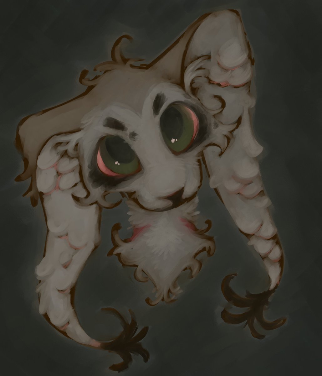 #furry