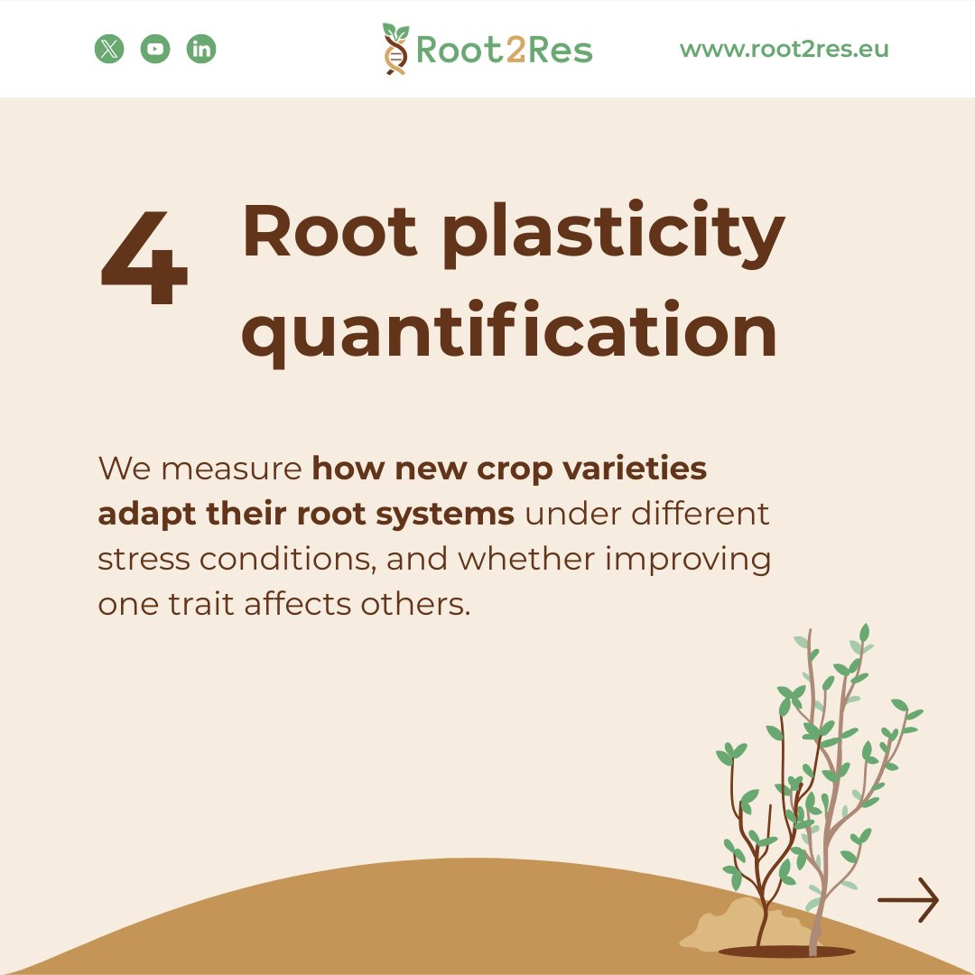 Root2Res tweet media