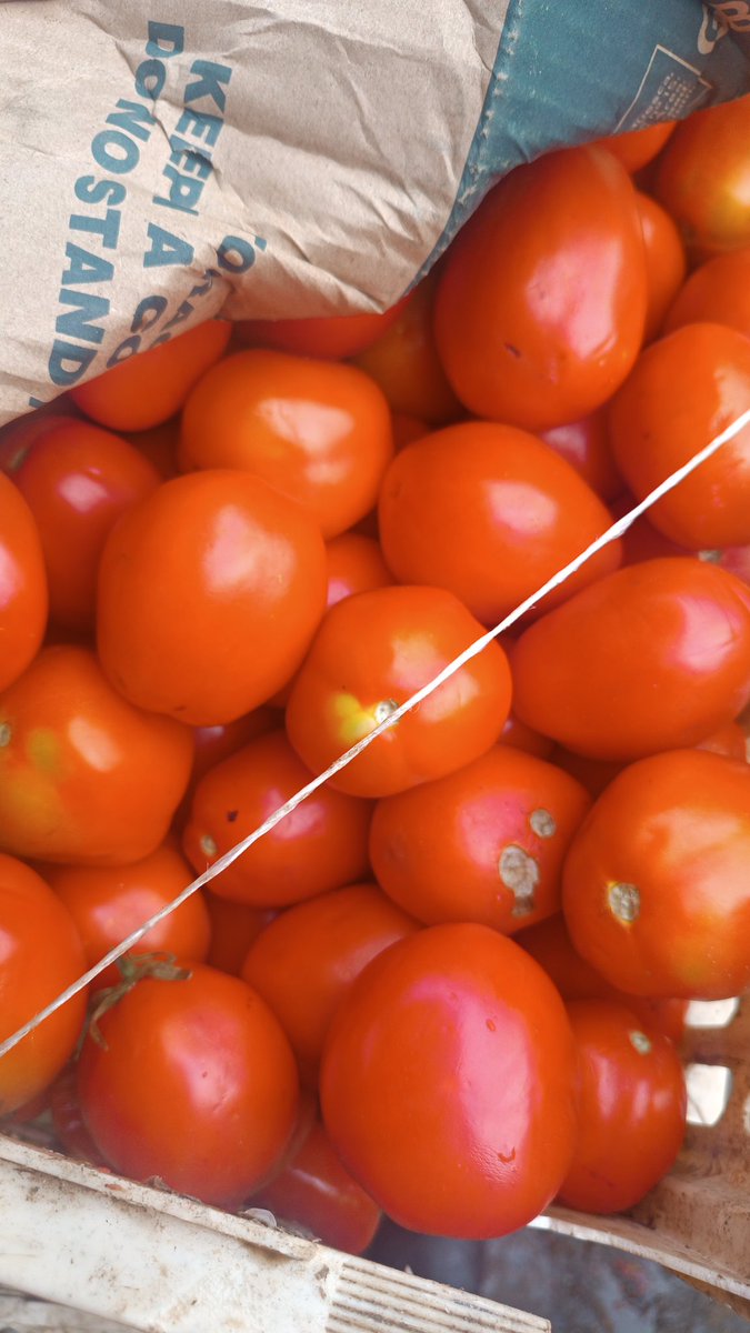 ipalaapp tweet picture