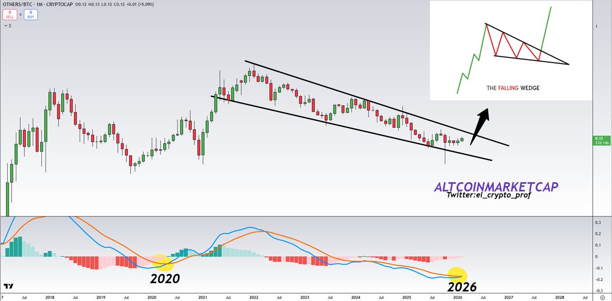 𝕄𝕠𝕦𝕤𝕥𝕒𝕔ⓗ𝕖 🧲 tweet media