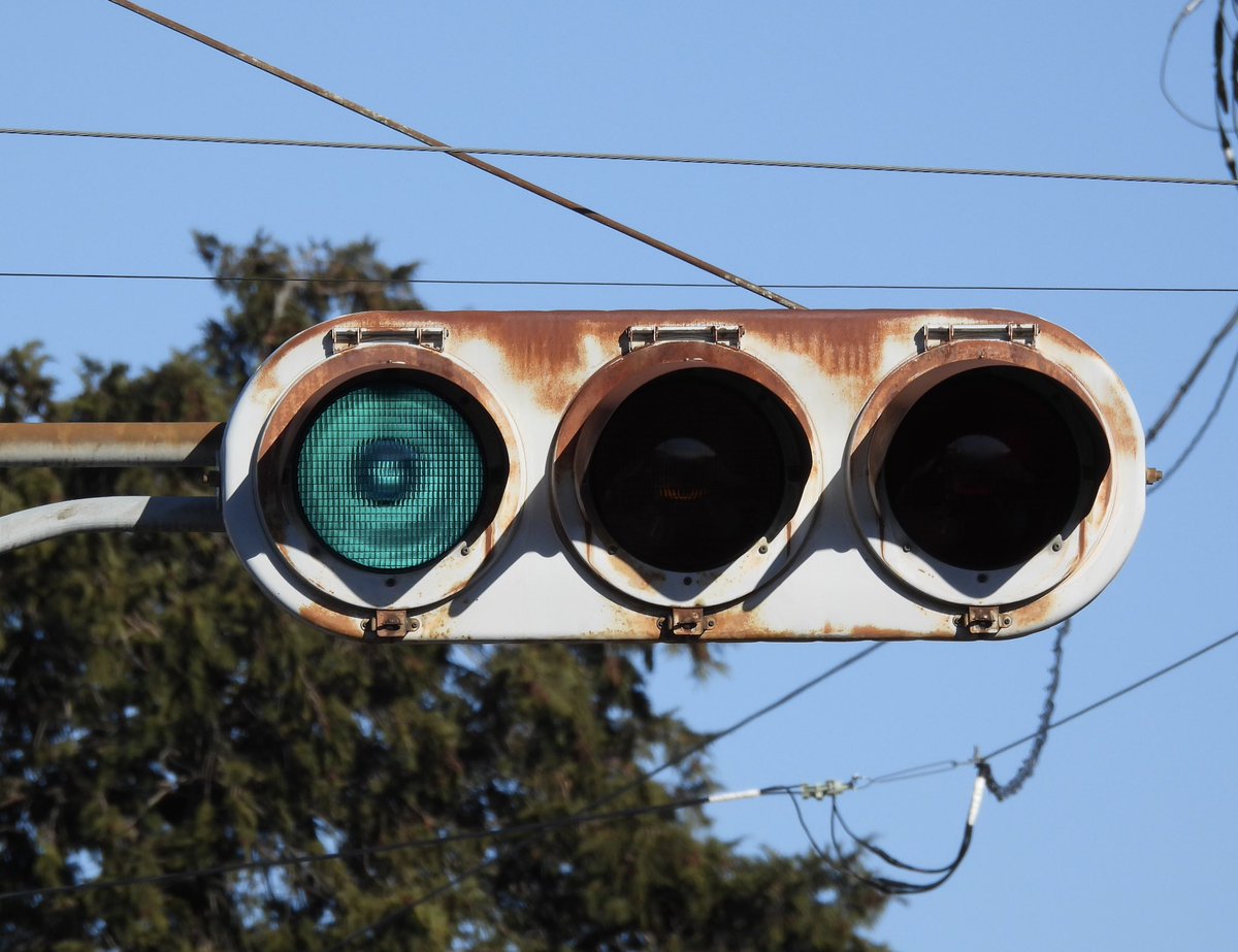 アヤメ tweet media