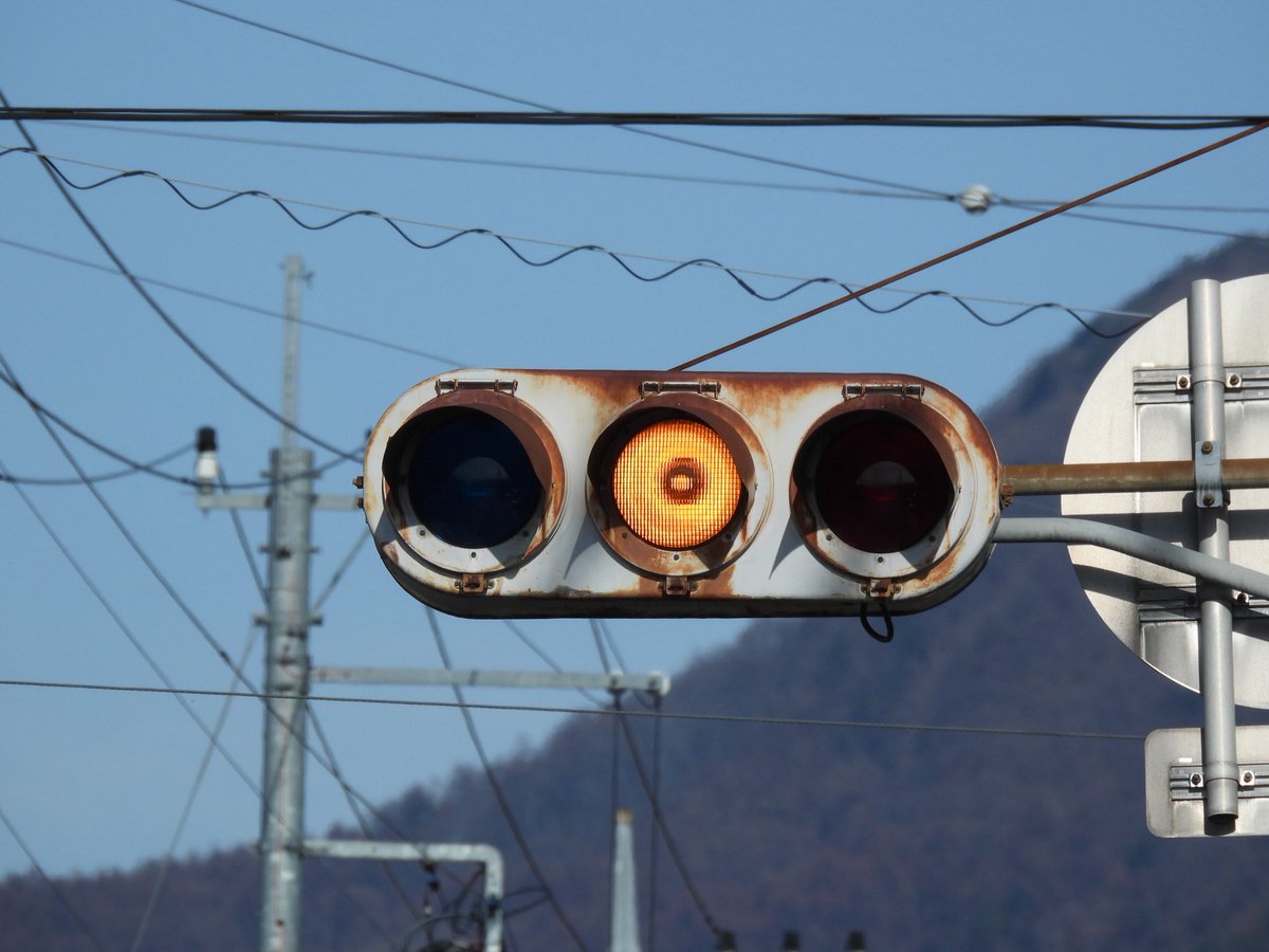 アヤメ tweet media