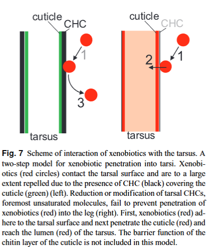 Insect Science tweet media
