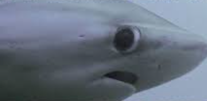 TheBeehive tweet media