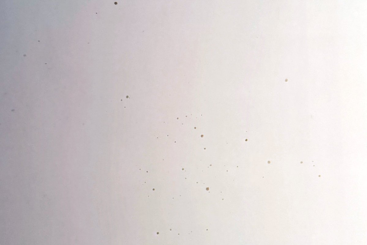 MasterTop tweet media