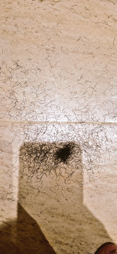 Bukan Papa Gula tweet media