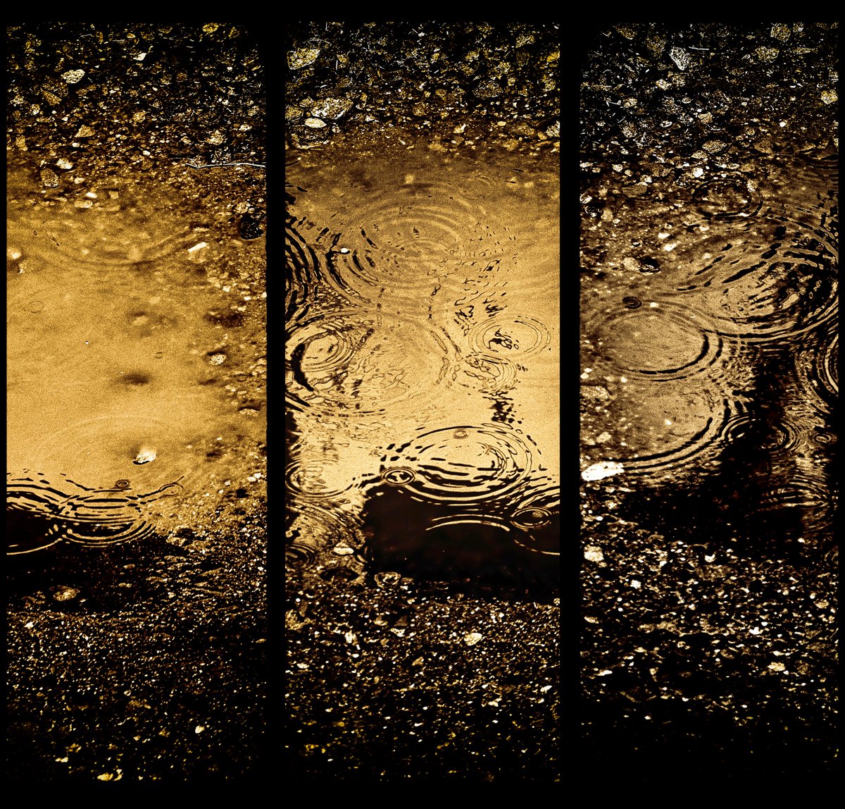 ripples（2025）
