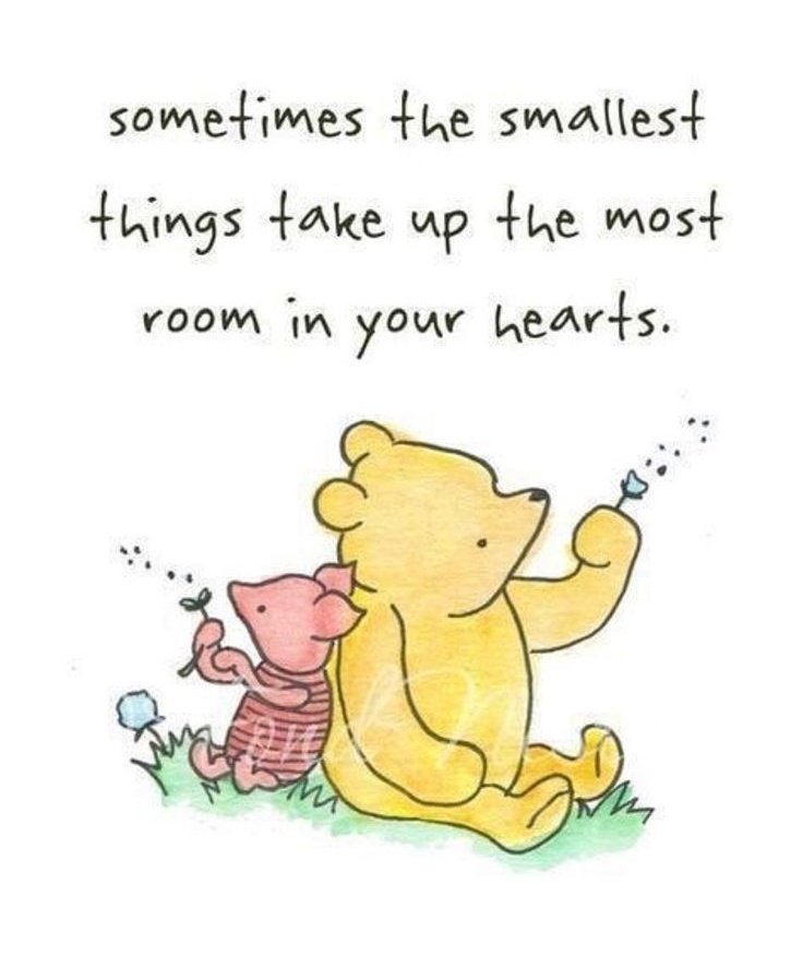 Mrs_Eleonora_'s tweet photo. Goeiemorgen Sweets 💋
Geniet van de kleine gelukjes... 🍀
Fijne knuffeldag van mij🤗
#ddk #BeautifulQuotes https://t.co/51Ph3JDNpm