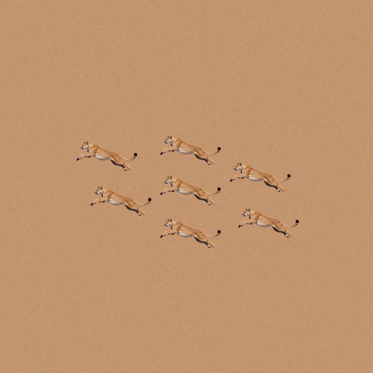 #Bialystocks

フジテレビ 水10ドラマ『ラムネモンキー』主題歌
最新曲「𝐄𝐯𝐞𝐫𝐲𝐝𝐚𝐲」が本日2月12日(木)リリース！🐅

🎧配信リンク
bialystocks.lnk.to/Everyday

フジテレビ 新•水𝟭𝟬ドラマ
『 #ラムネモンキー 』 <a href="/ramunemonkey88/">『ラムネモンキー』1月期水10ドラマ【フジテレビ公式】</a> 
🔗公式HP
fujitv.co.jp/ramunemonkey88/