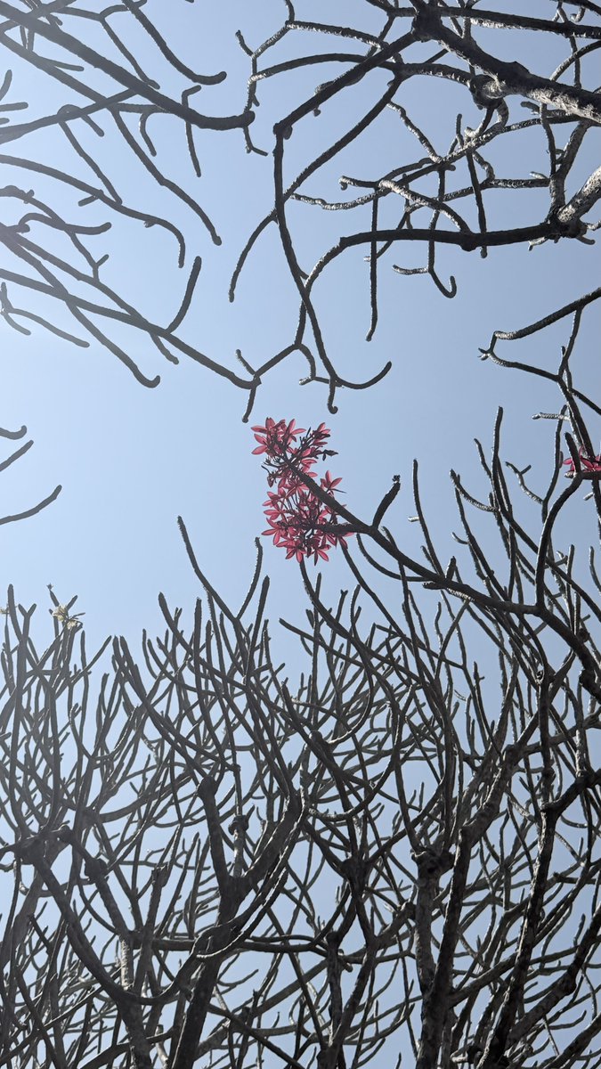 น่าน (ไง) ~