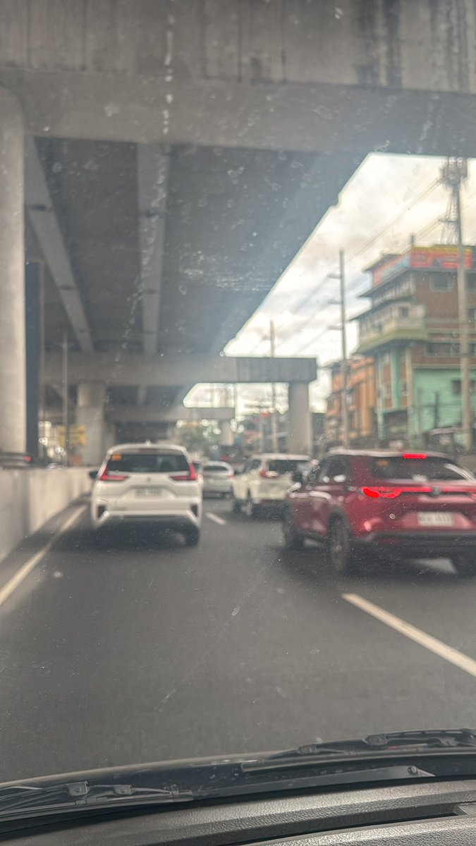 Norman™ tweet media