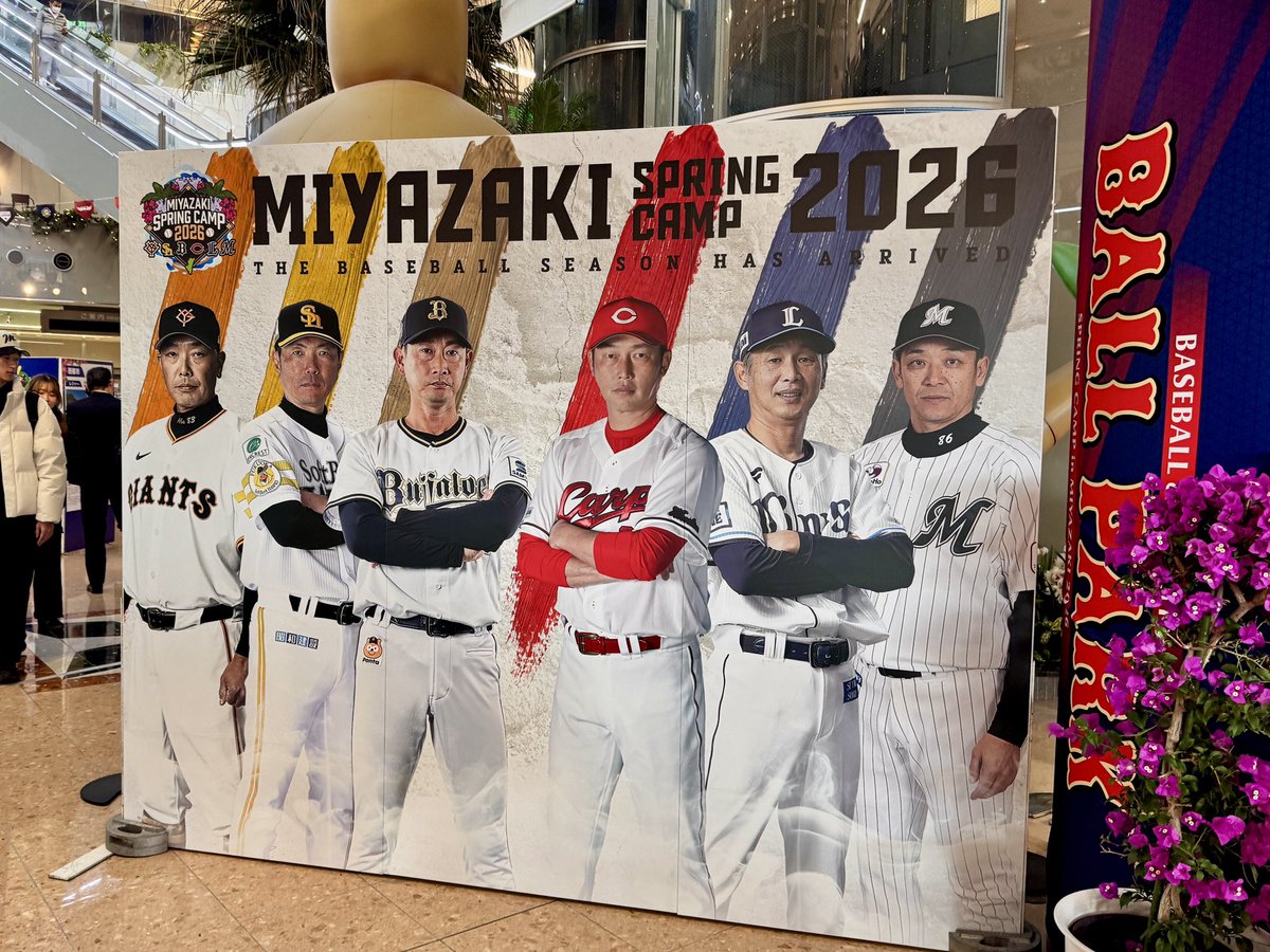 aono's tweet photo. #宮崎県 は #西武ライオンズ だけでなく、多くのチームがキャンプをしており、どこも多くの観客で賑わっておりました。練習風景も大事なコンテンツですね。 #愛媛オレンジバイキングス にも活かしていきます。 https://t.co/5dhNIg53jW