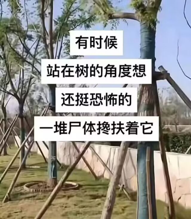 恋 tweet media