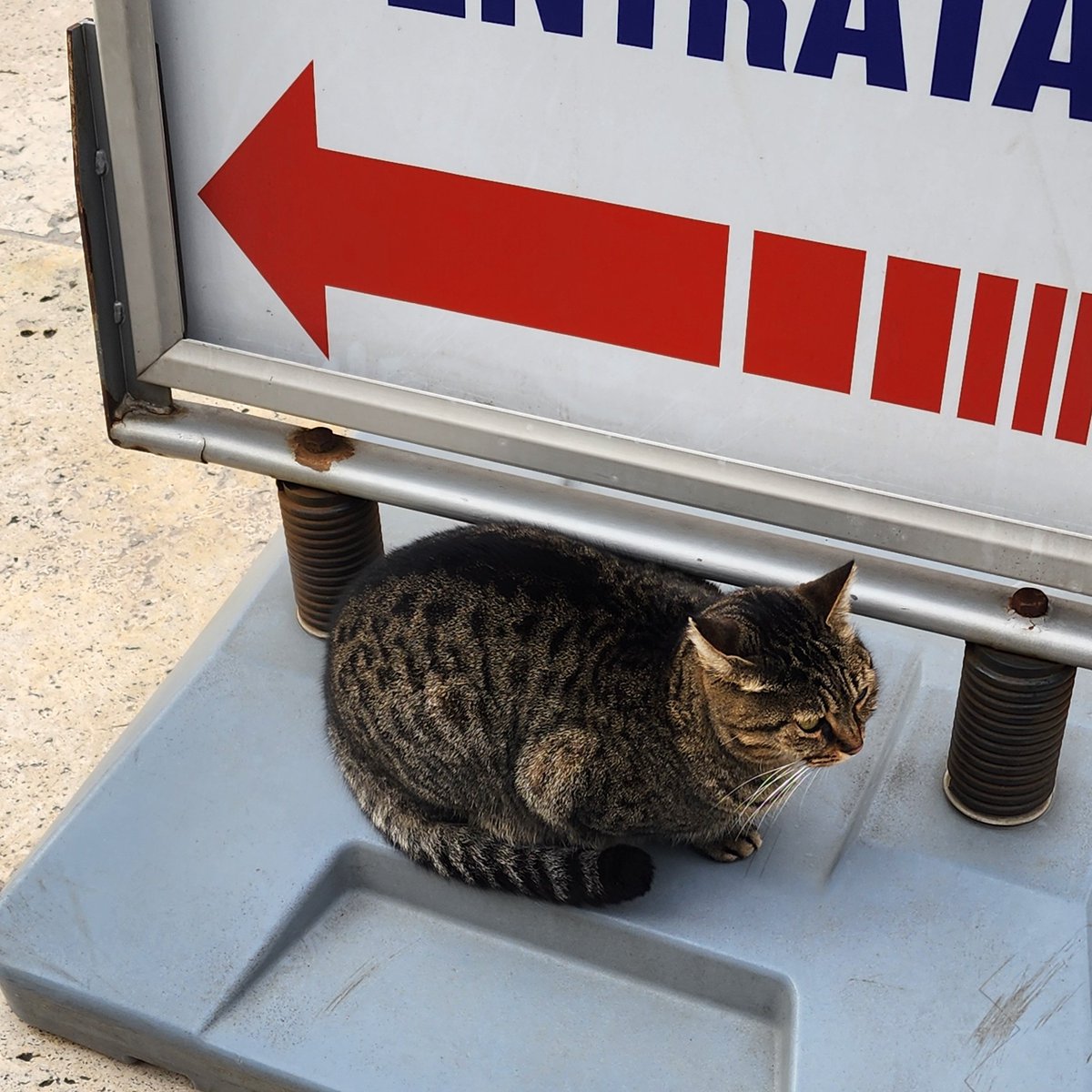parasityves's tweet photo. loaves i've met https://t.co/cKkJqQdGoq