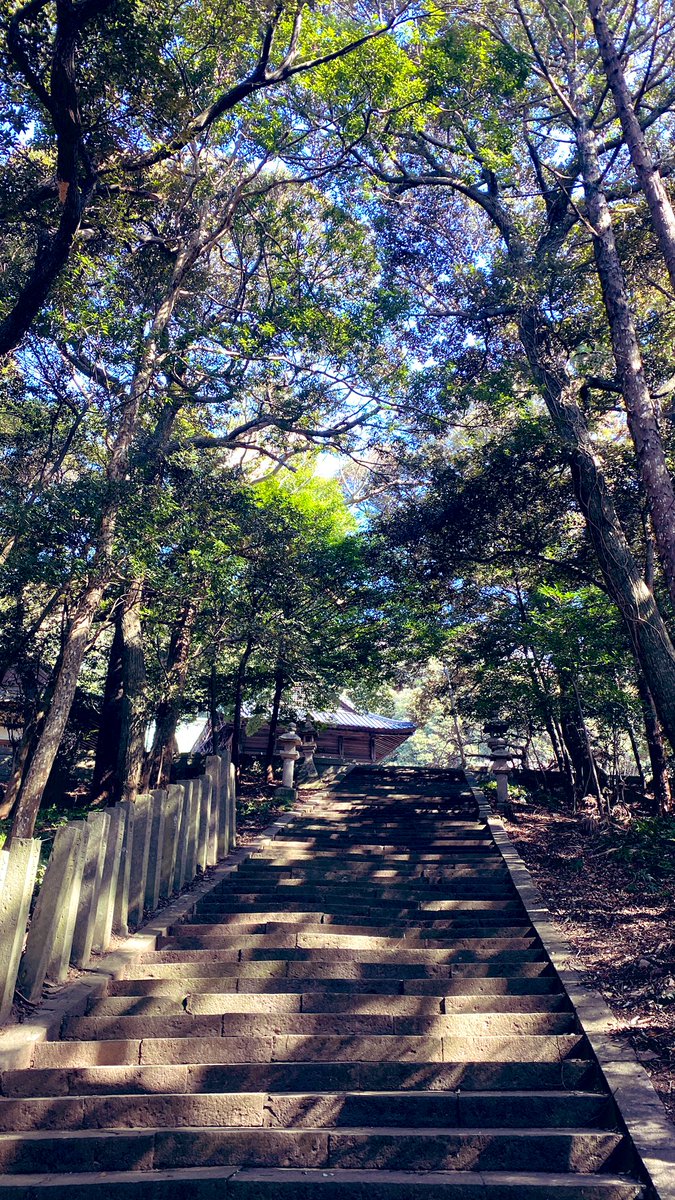 shokotsushima's tweet photo. 木坂⛩海神神社
周辺の木坂山（伊豆山）は千古斧を入れない原生林「野鳥の森」🍀 https://t.co/I9pik0Vcut