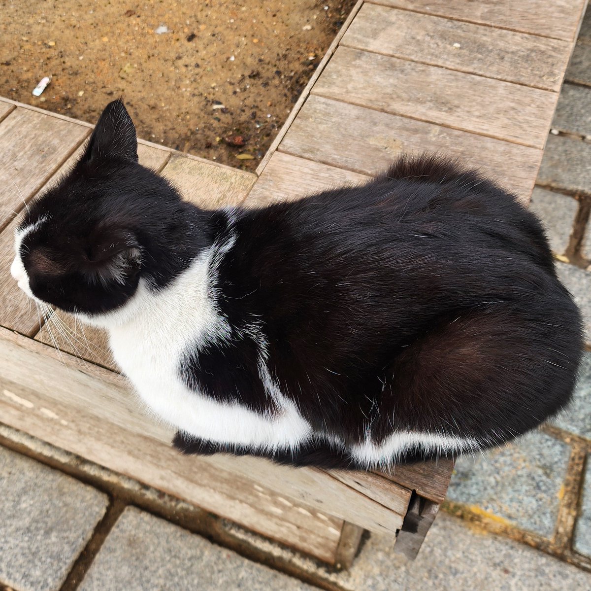 parasityves's tweet photo. loaves i've met https://t.co/cKkJqQdGoq