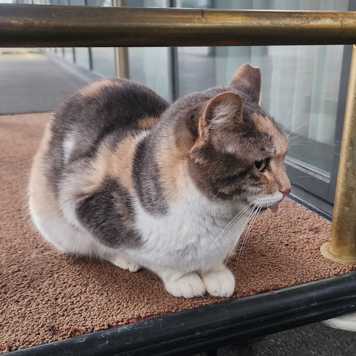 parasityves's tweet photo. loaves i've met https://t.co/cKkJqQdGoq