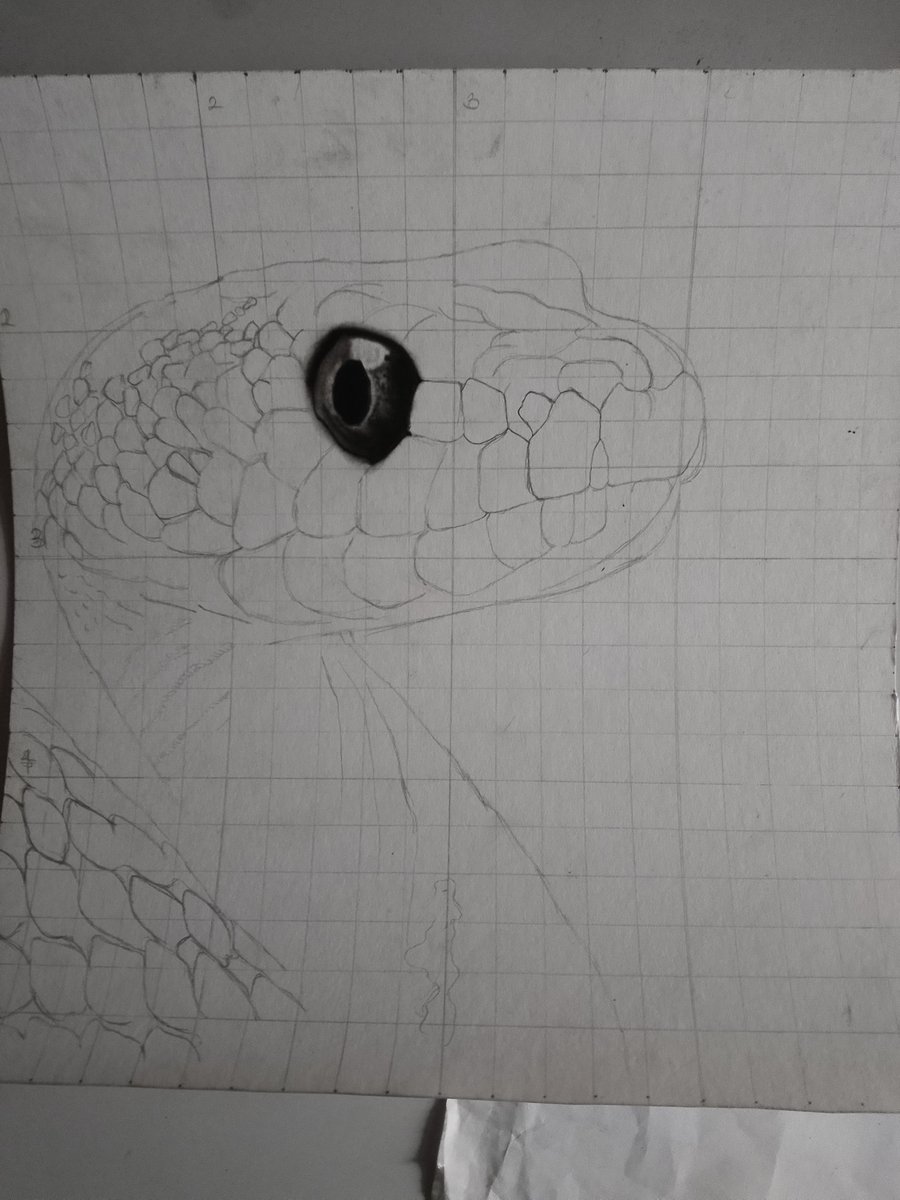 Not to brag but I made this with pencil.