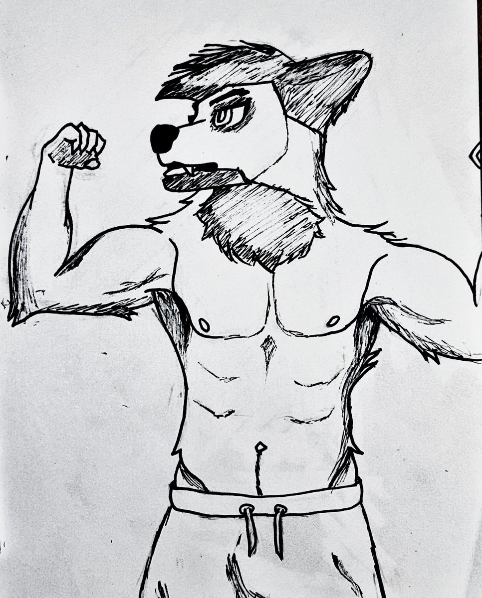 Foxer 🦊 tweet media