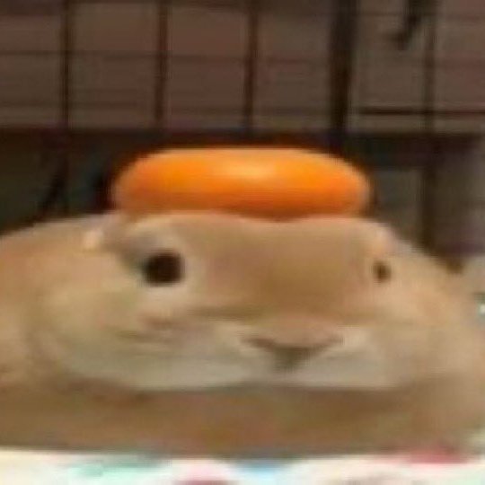 im so easy for a nigga's energy and personality.

cos wdym imma get heart eyes if he's funny, smart and peculiar?