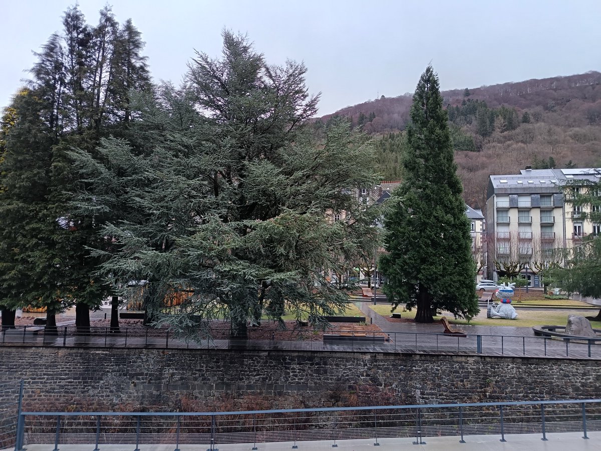 otmontdore's tweet image. Jeudi 12 Février, 9h00 • Le Mont-Dore • 2°C 
 Pluie et vent
@otsancy
@MeteoSancy
 #meteo