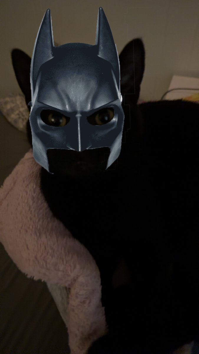 Vydex2's tweet photo. @PlayOverwatch Ima need a black cat skin ASAP, cus my cat is black (give her a which outfit or something while you’re at if 🙏 https://t.co/brCQT4T4Mt