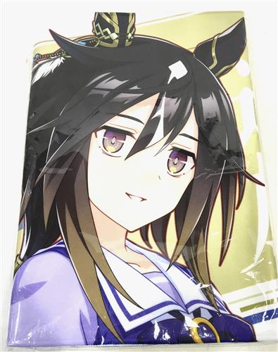 ウマ娘 プリティーダービー 公式応援タオル ステイゴールド【#未開封品