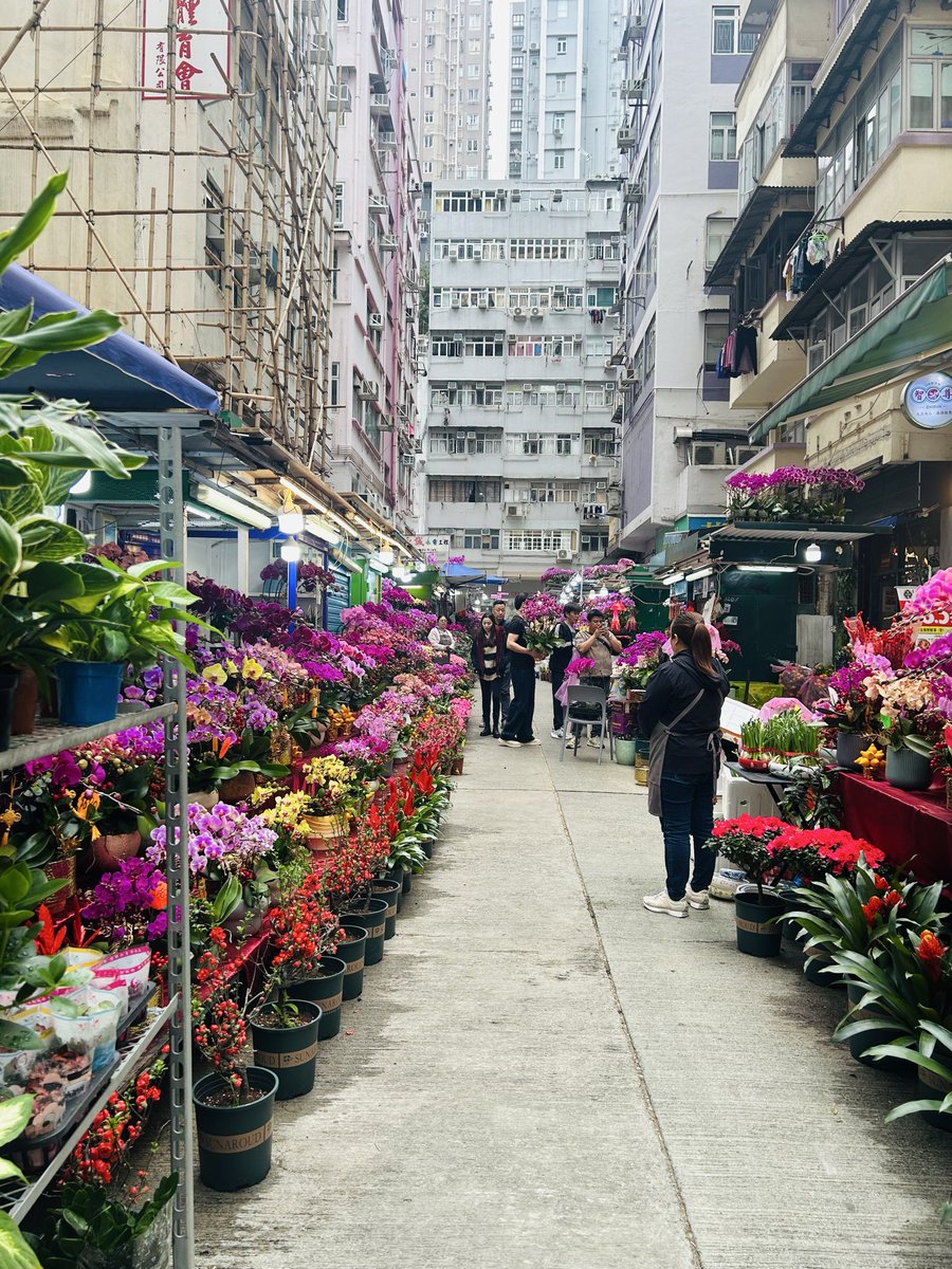 Suzannah Benjamin tweet media