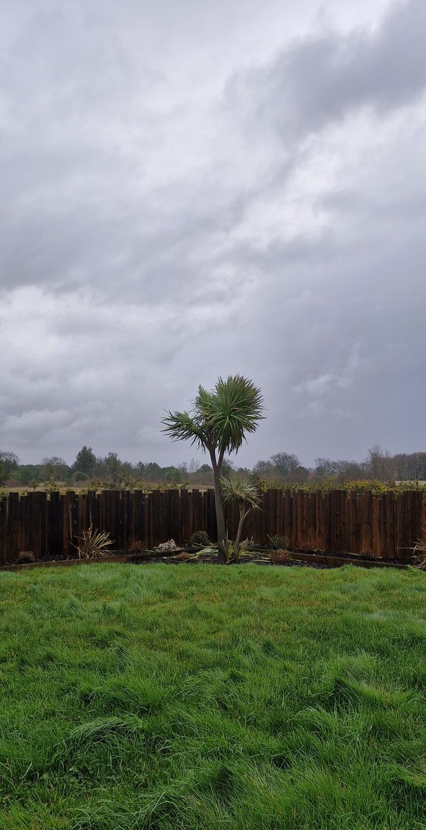 Miss Moneypenny tweet media