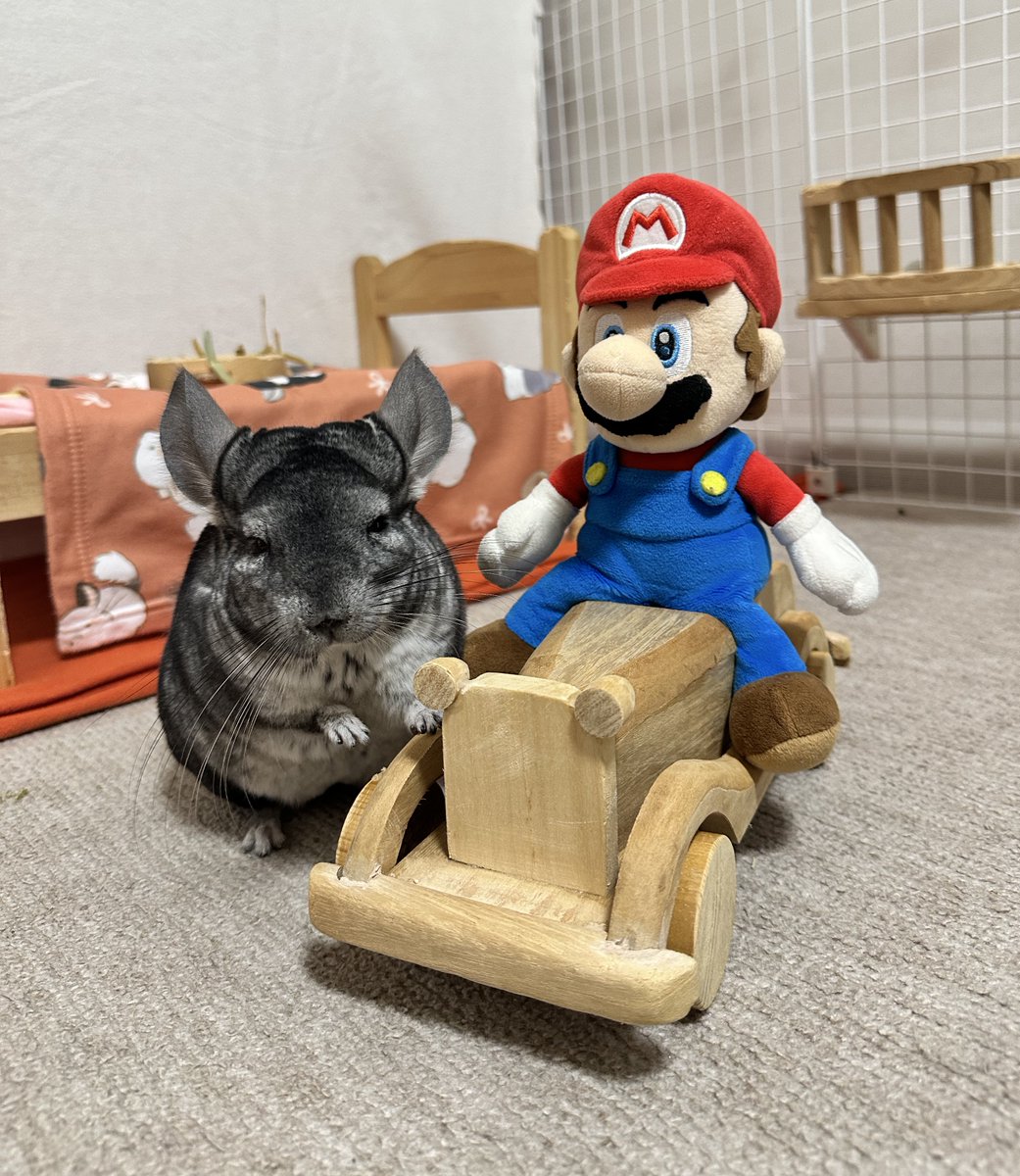 ちーこっこ🐭 (@koyukineko9) / Posts / X