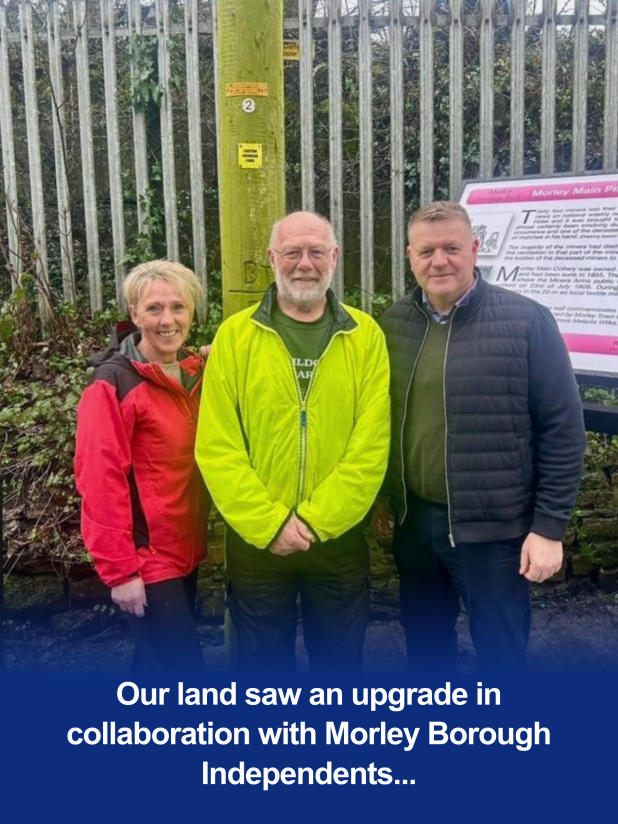 MONE BROS tweet media