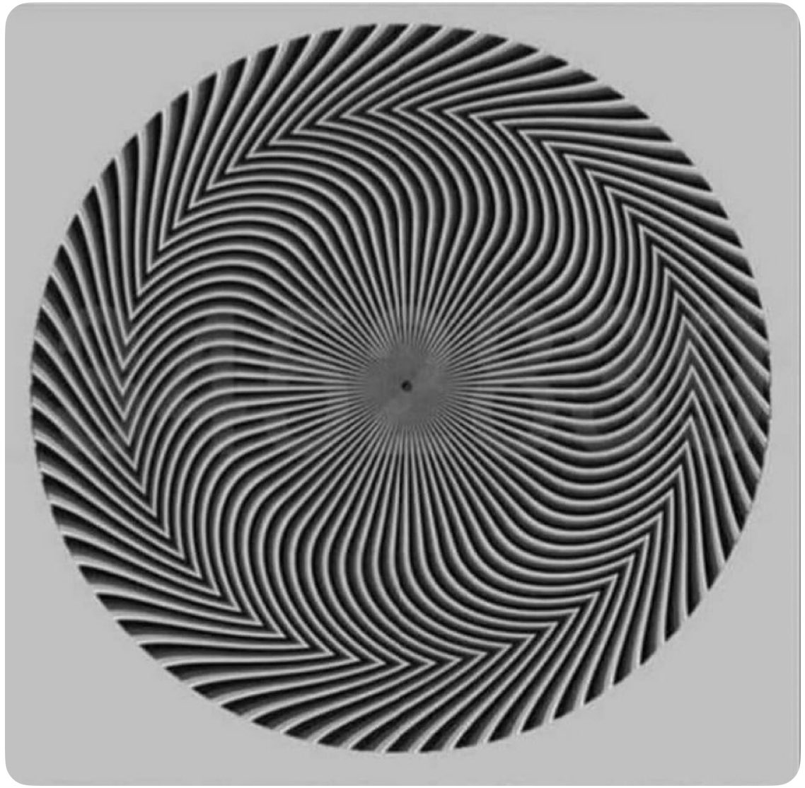 BAMIDELE🕊 tweet media