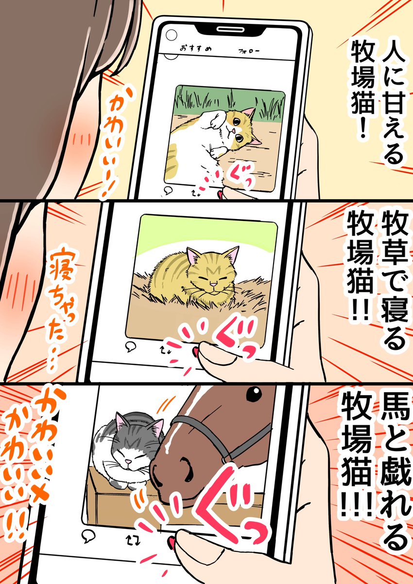 お猫様はありとあらゆるTLに割り込んでくるイメージ(*´ω｀*) どちゃ