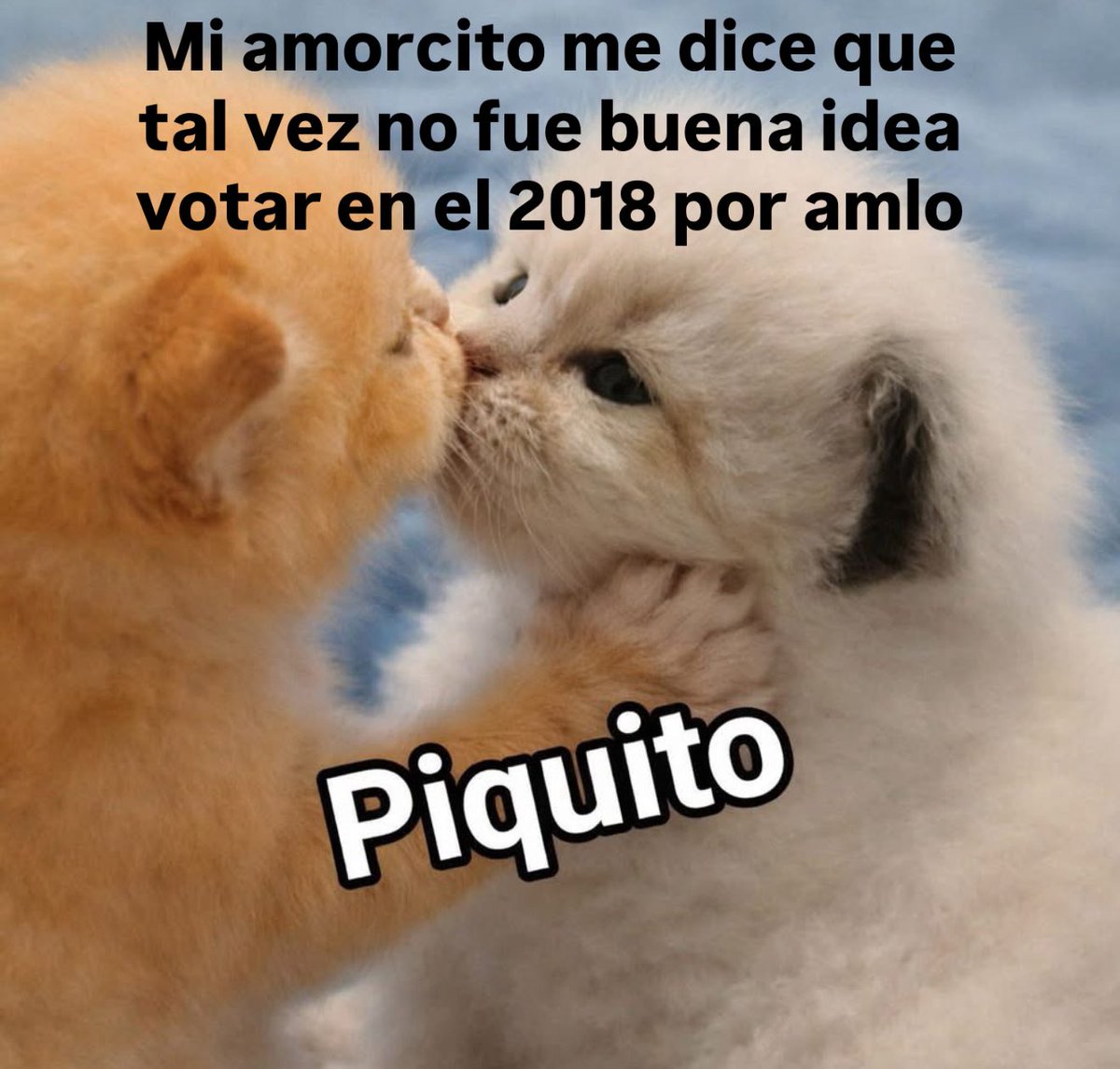 Te perdono bb 🥹 #AMLO2018