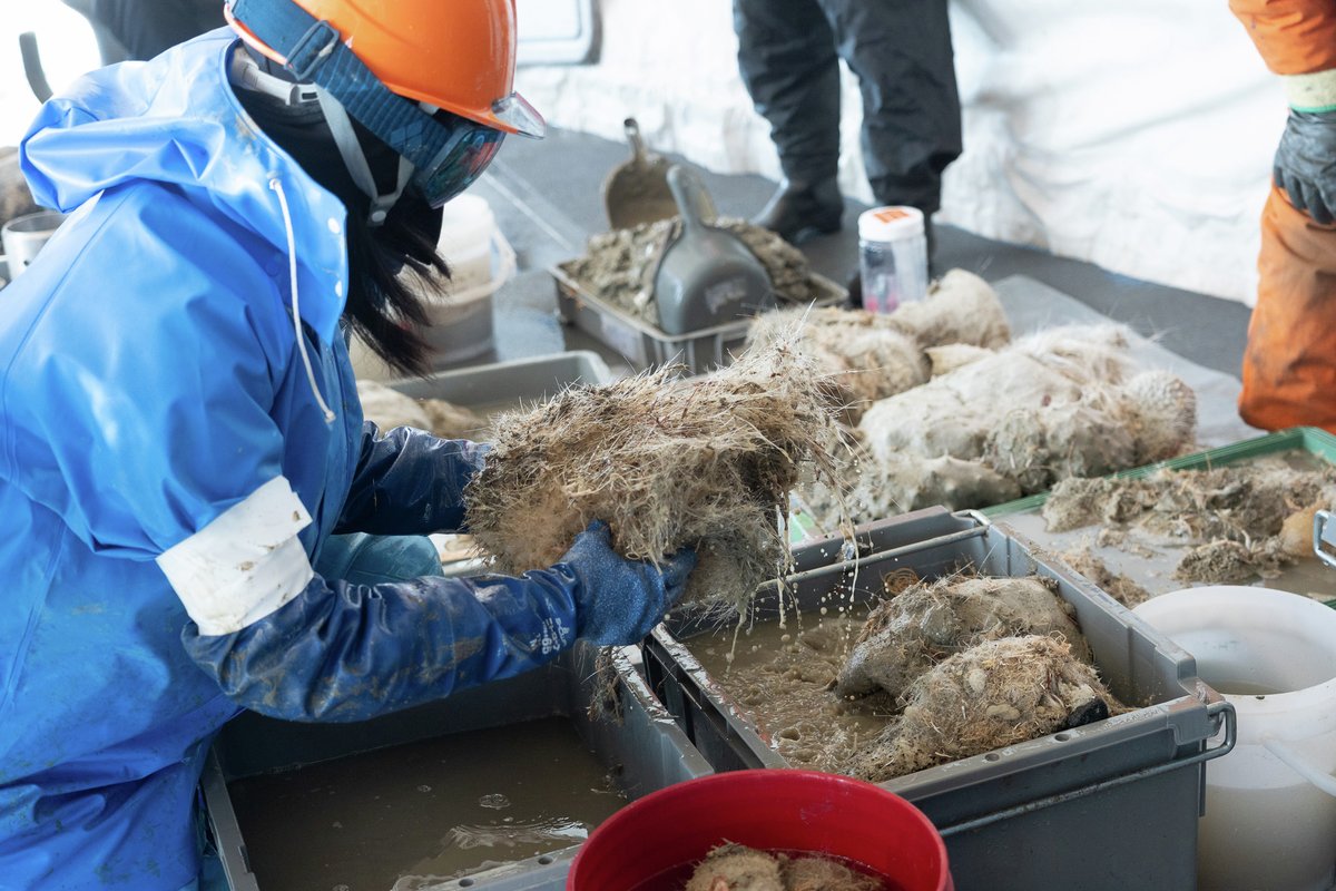 CHIKYU 地球深部探査船「ちきゅう」 (@Chikyu_JAMSTEC) / Posts / X